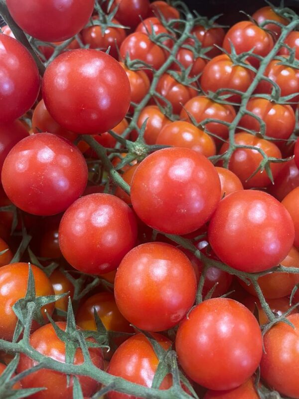 TOMATE CHERRY - Imagen 3