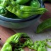 PIMIENTO ITALIANO - Imagen 3