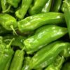 PIMIENTO ITALIANO
