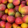 MANGO - Imagen 2