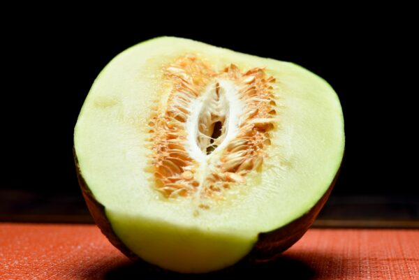 MELON - Imagen 3