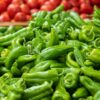 PIMIENTO ITALIANO - Imagen 2