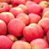 MANZANA PINK KISS