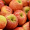 MANZANA ROYAL GALA