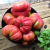 TOMATE ROSA
