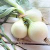 Cebolleta manojo fresca para comprar online en Disfruta Online