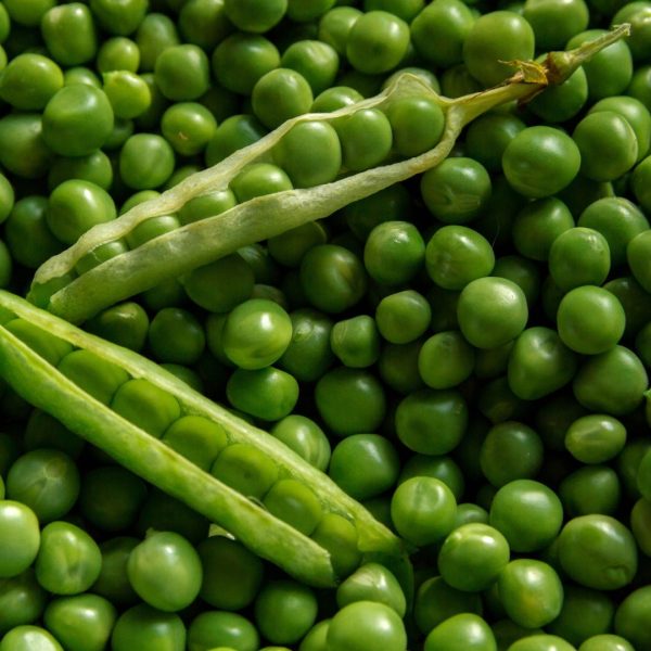 GUISANTES _ BANDEJA - Imagen 3