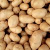 PATATAS (todo uso culinario)