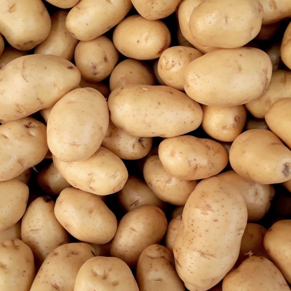 PATATAS (todo uso culinario)
