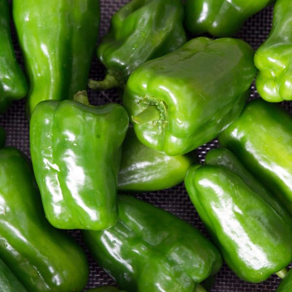 PIMIENTO VERDE LAMUYO - Imagen 4