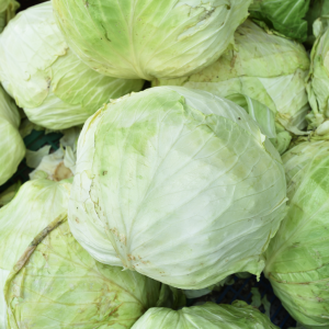 Repollo fresco entero de la huerta