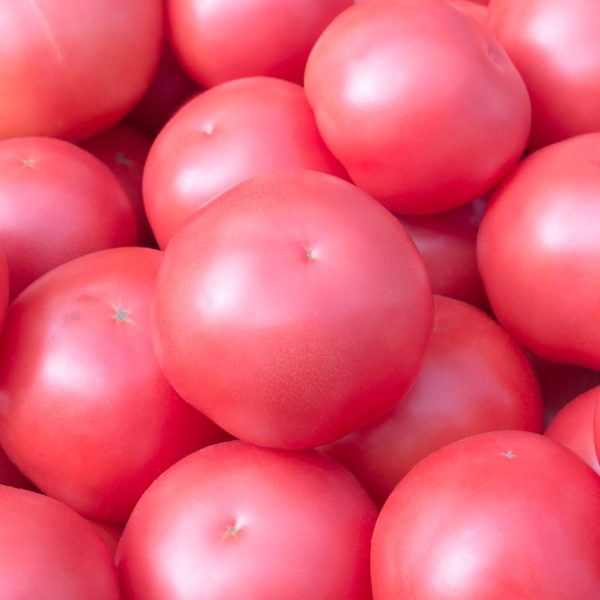 TOMATE ROSA - Imagen 2