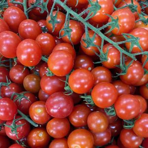 TOMATE CHERRY