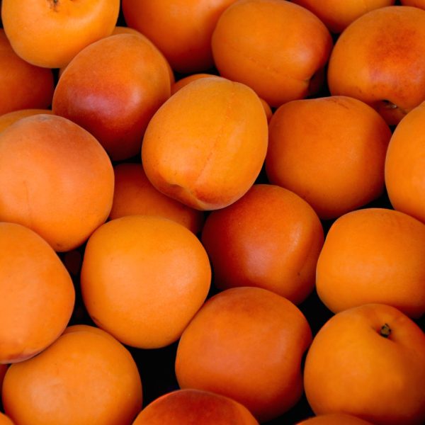 ALBARICOQUES - Imagen 3