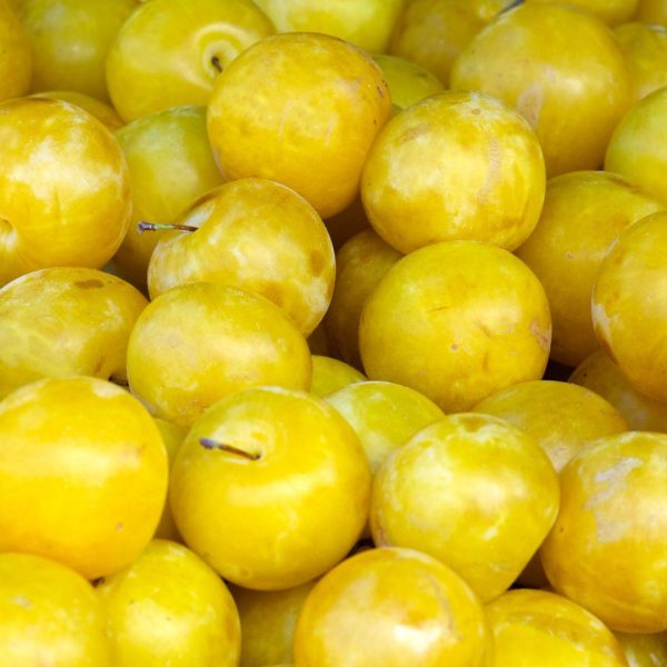 CIRUELA AMARILLA