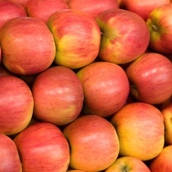 MANZANA KANZI