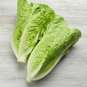 Lechuga romana fresca y crujiente de Disfrutaonline