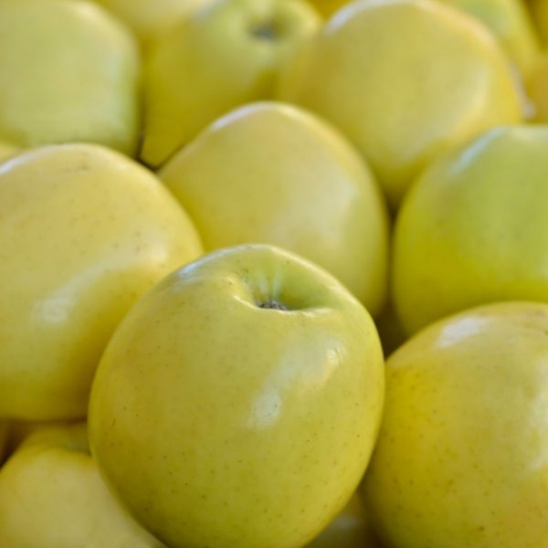 MANZANA VAL VENOSTA - Imagen 6
