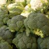 BROCOLI - Imagen 2