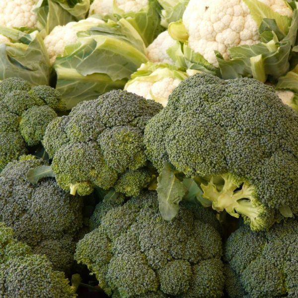 BROCOLI - Imagen 2
