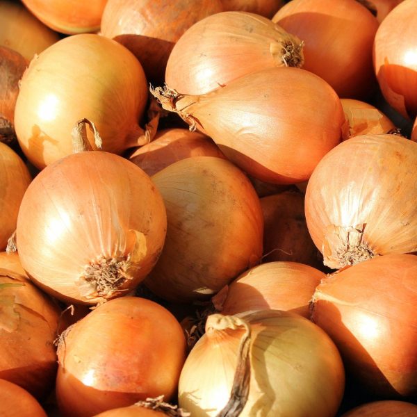 CEBOLLAS - Imagen 4
