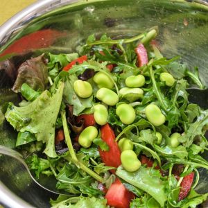 Ensalada verde con habas frescas y tomate