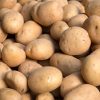 PATATAS (todo uso culinario) - Imagen 2