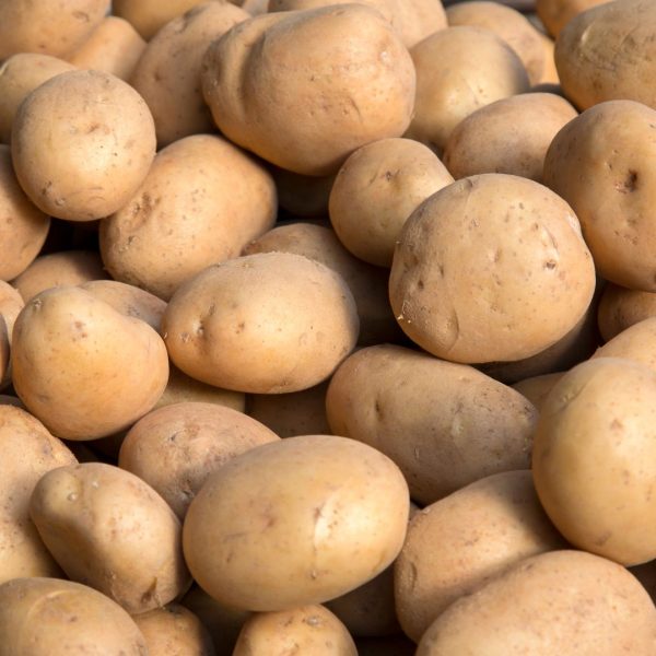 PATATAS (todo uso culinario) - Imagen 2