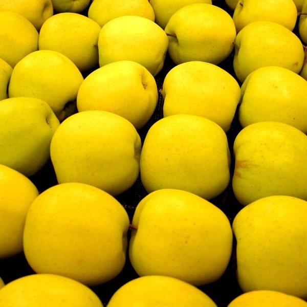 MANZANA GOLDEN NACIONAL - Imagen 2