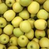 MANZANA VAL VENOSTA - Imagen 2