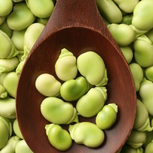 Habas frescas peladas en cuchara de madera