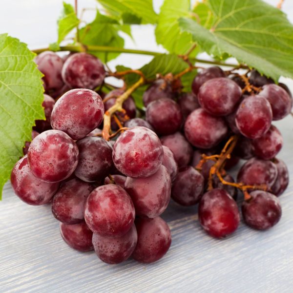 UVAS ROJAS con pipa - Imagen 4