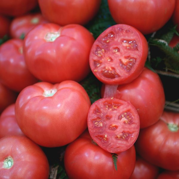 TOMATE ROSA - Imagen 4