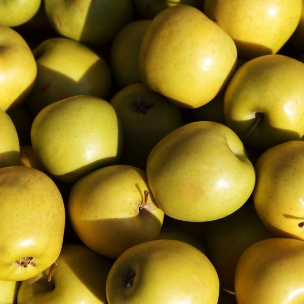 MANZANA GOLDEN NACIONAL - Imagen 3