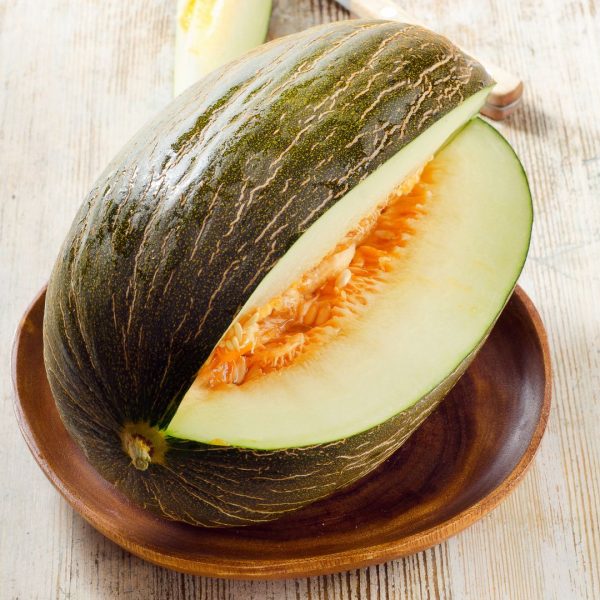 MELON EXTRA - Imagen 3