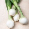 Cebolleta manojo fresca para comprar online en Disfruta Online