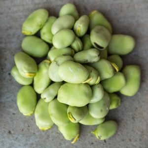 Montón de habas frescas verdes