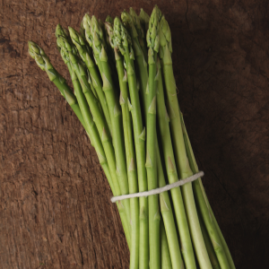 Espárragos verdes finos atados en manojo directos del campo