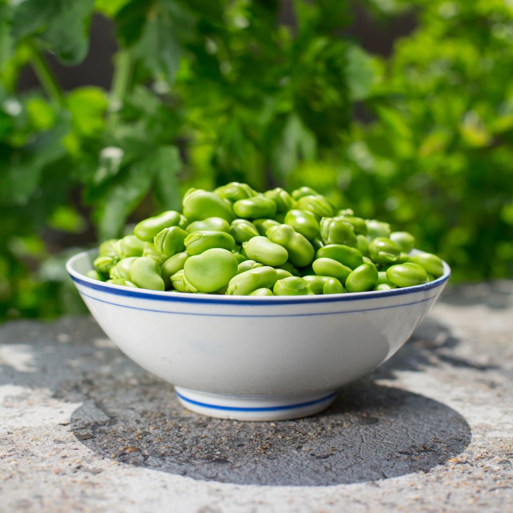 Bol de habas verdes frescas al aire libre