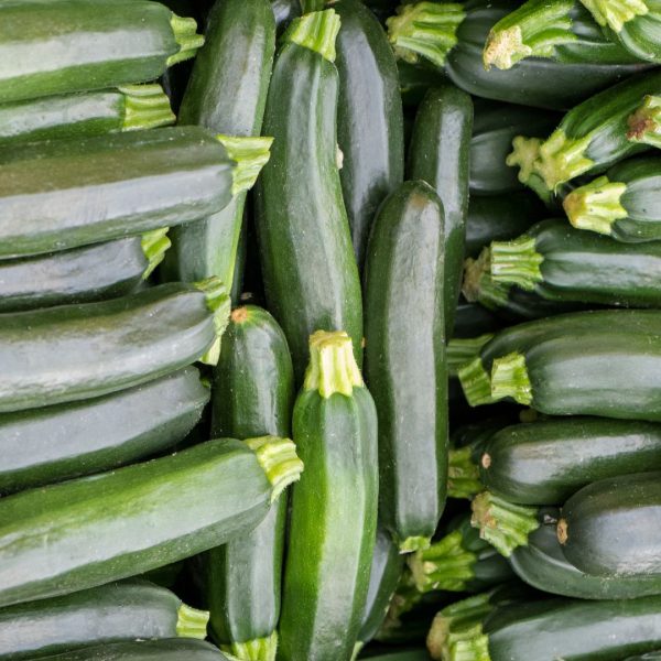 CALABACIN NEGRO
