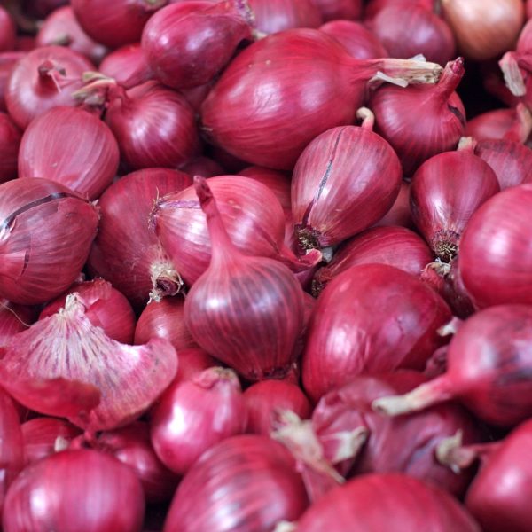 CEBOLLA MORADA