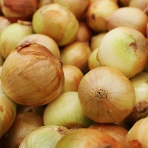 CEBOLLAS