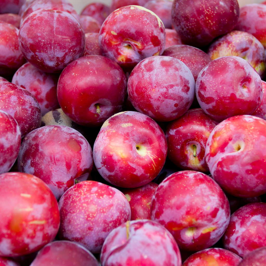 detalle ciruelas rojas frescas calidad premium
