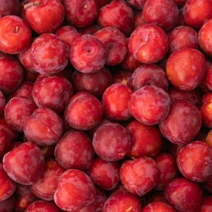 CIRUELA ROJA