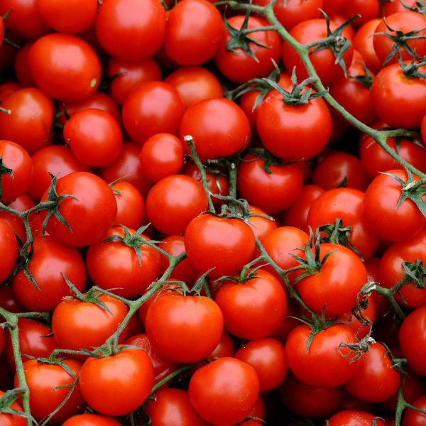 TOMATE CHERRY - Imagen 2