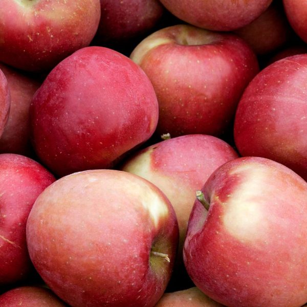 MANZANA FUJI