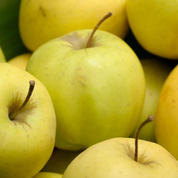 MANZANA GOLDEN NACIONAL - Imagen 2