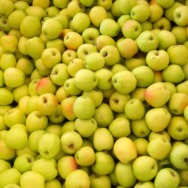 MANZANA GOLDEN NACIONAL - Imagen 3