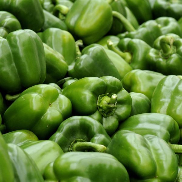 PIMIENTO VERDE LAMUYO - Imagen 2