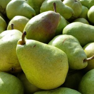 PERA LIMONERA